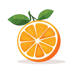 Fresh Orange Vector Illustration on White Background