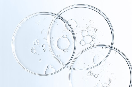 The texture of a cosmetic serum or body gel in a Petri dish.