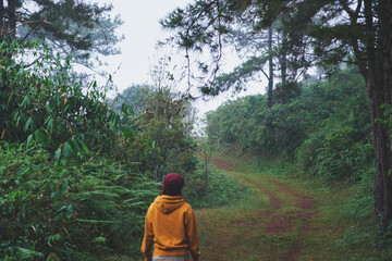 Rear view image of a woman walking into the forest