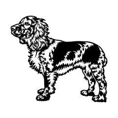 Cocker Spaniel Dog Breed - Pet Vector Cut file, Dog Silhouette Stencil - Cricut file