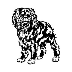 Cocker Spaniel Dog Breed - Pet Vector Cut file, Dog Silhouette Stencil - Cricut file