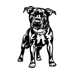 Staffordshire Bull Terrier Dog Breed - Pet Vector Cut file, Dog Silhouette Stencil - Cricut file