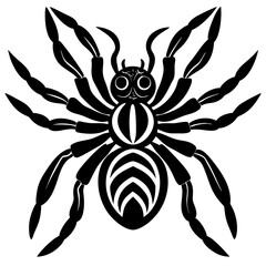 Colorful Peacock Spider on White Background: Stunning and Detailed Artwork