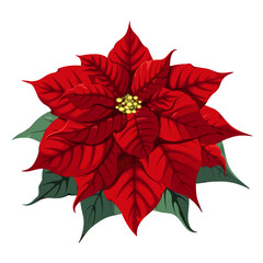 A red poinsettia flower on a white background. Christmas decor. Vector illustration.
