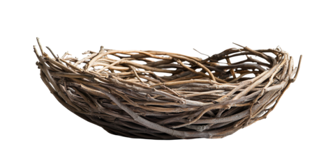  Rustic bowl-shaped nest crafted from intertwined dry twigs, showcasing organic texture and natural beauty. Perfect representation of home, nature, and wildlife themes.