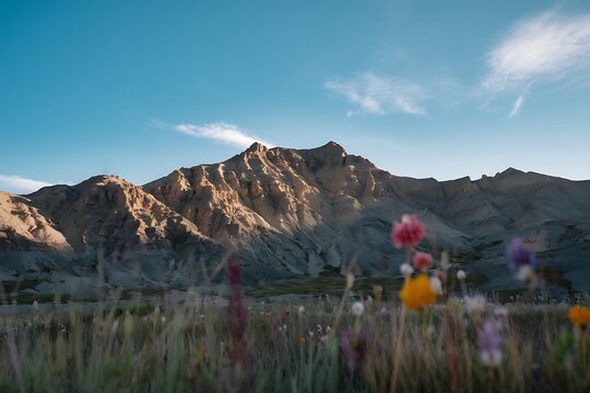 A breathtaking view of a sunlit mountain range, its rugged slopes contrasting beautifully with a foreground of wildflowers in full bloom under a clear blue sky.