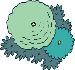 hand drawn top view of tree illustration.