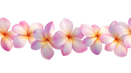 Pink Plumeria Blossoms, Tropical Flowers, Floral Design, Hawaiian Lei, Exotic Bloom, Nature Image, B