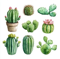 Fototapeta premium A vibrant illustration featuring various cacti, showcasing different shapes and colors, perfect for plant enthusiasts.