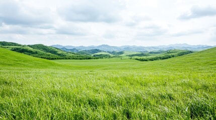 Obraz premium Serene green grassland landscape under a cloudy sky, rolling hills in the background.
