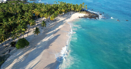 Aerial view of beach and headland with palm trees, Mitsamiouli, Comoros
