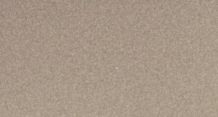 Cardboard texture. Kraft paper background. 