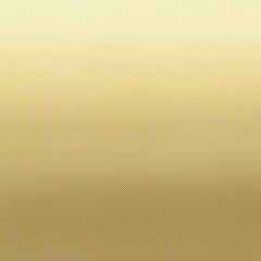 Abstract grayscale background with subtle halftone dots and lines, creating a minimalist and modern design. Perfect for backgrounds, presentations, overlays, artistic projects,or digital art.