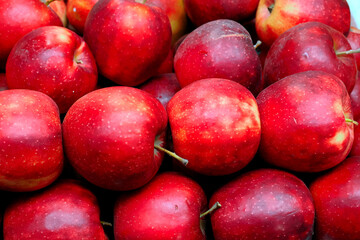 Na placu targowym zawsze jest barwnie, uwage przyciągają soczyste i świeże owoce i warzywa  Piękne różne gatunki owoców i warzyw na straganie na  placu targowym © JDziedzic