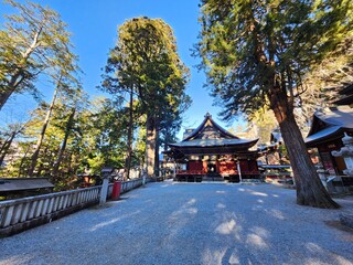 三峯神社　早朝の境内
