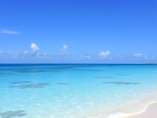 Obraz premium tropical beach in Maldives with few palm trees and blue lagoon