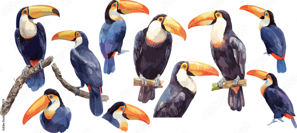 Poster toucan watercolor clipart