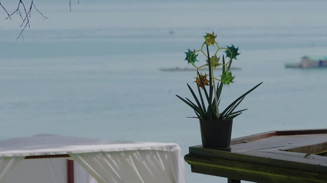 The colorful heads of a six-headed toy windmill are spinning fast in the strong wind in sunny outdoor environment, with tropical beach in the background.