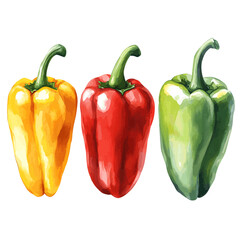 red green and yellow peppers vector illustration
