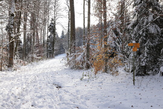 winterwald schnee himmel sch&ouml;nwetter