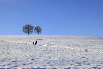 winterlandschaft schnee höchfeld kirchberg schweiz