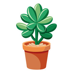 Obraz premium Kalanchoe plant in a terracotta pot on a white backdrop showcasing vibrant green leaves and a contemporary aesthetic