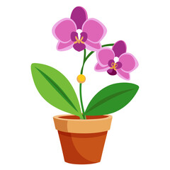 Beautiful potted orchid plant with vibrant purple flowers displayed against a simple white background