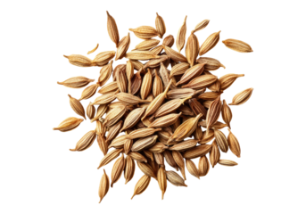 Dry cumin seeds. Transparent background .Isolated PNG