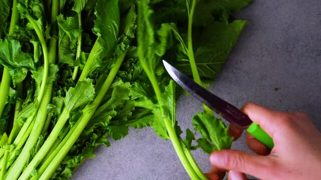 Unrecognizable hand is cleaning a head of turnip greens with the intent of cooking them for the apulian dish "orecchiette con le cime di rape"