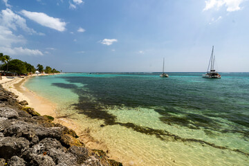 Guadalupe, Saint Anne - 2 February 2024 - The clear waters at Saint Anne in Guadeloupe