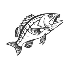 Fototapeta premium Chilipepper Rockfish Vector Art and Illustration