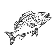 Chilipepper Rockfish Vector Art and Illustration
