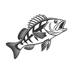 Chilipepper Rockfish Vector Art and Illustration