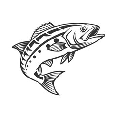 Fototapeta premium Chilipepper Rockfish Vector Art and Illustration