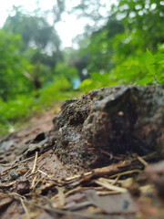 View from Shrubland stones 