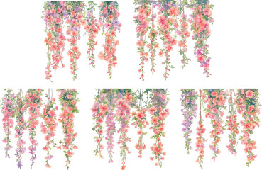 hanging flower watercolor clipart