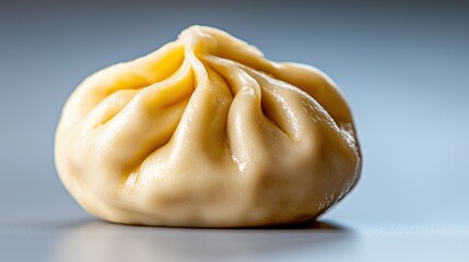 A single dumpling is shown in extreme close up on a blank background, the delicate dough twisted perfectly at the top to reveal the savory filling inside