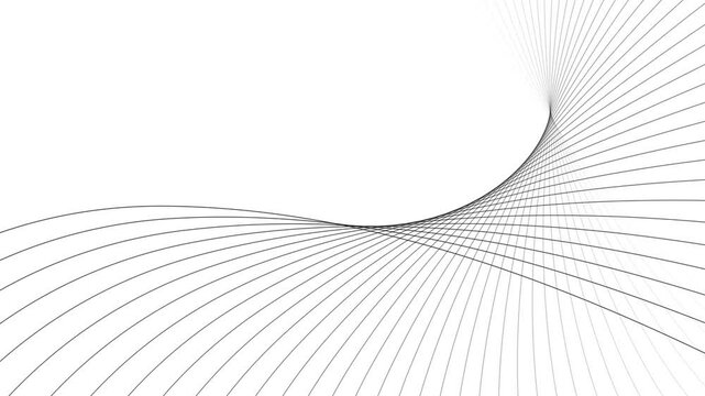 Abstract gradient color wavy lines minimal elegant background. Seamless loop 4k video.
