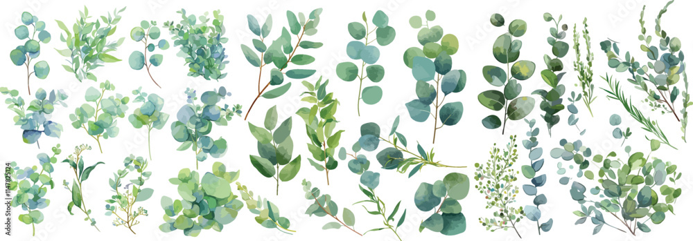 Canvas Prints eucalyptus leave watercolor clipart