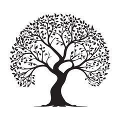 silhouette off a plam tree