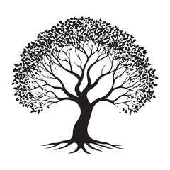 silhouette off a plam tree
