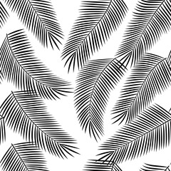 Seamless background monochrome vector pattern - palm leaves isolated on transparent background. Tropical plants.