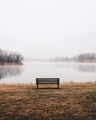 Serene Lake View with Empty Bench
