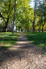 A beautiful park for a walk in autumn weather. Niska Banja, Srbija.