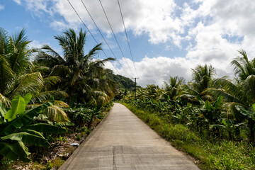 Santa Lucia - 6 February 2024 - Spectacular route surrounded by nature in Santa Lucia
