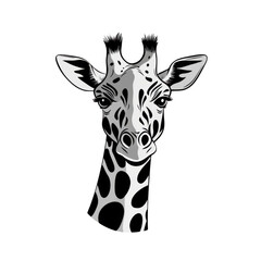 Obraz premium white icon of Giraffe isolated on a transparent background Minimalist flat icon, vector logo style sign clipart on a no background png