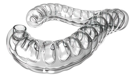 Obraz premium Transparent 3D Skeletal Anatomy Model Showcasing Detailed Dental Structure and Composition for Medical Dental and Educational Purposes