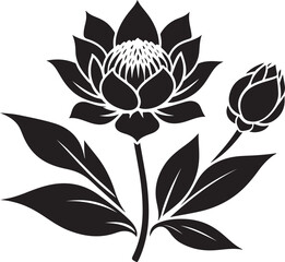 Protea Flower and Bud Silhouette Vector Art