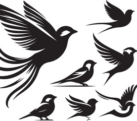 Black bird silhouettes in flight.
