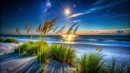 Hilton Head Beach Night Photography: Grasses, Sea Oats, Coastal Scenery, Dark Sky, Starry Night, South Carolina